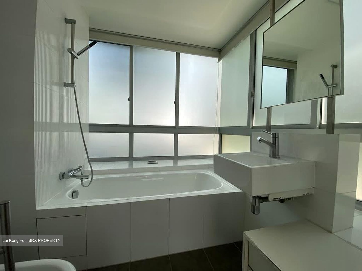 The Stellar (D5), Condominium #552287361